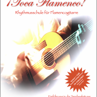 ¡Toca Flamenco!